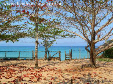 Camping Beira Mar- Praia de Fora - Trindade, Paraty RJ